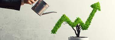business growth